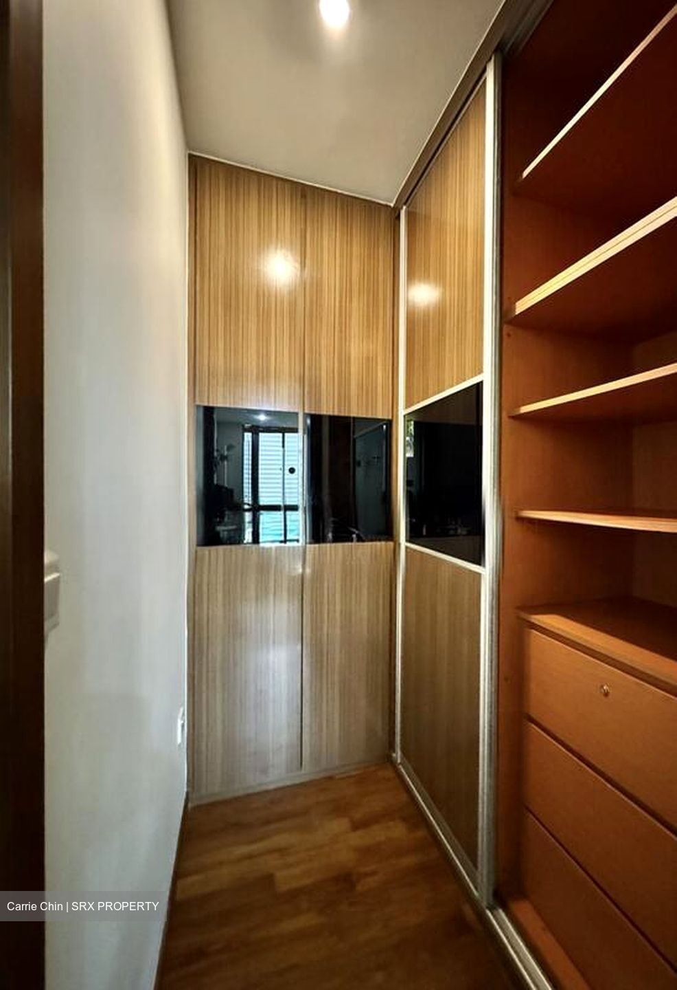 Holland Link (D10), Terrace #498181471